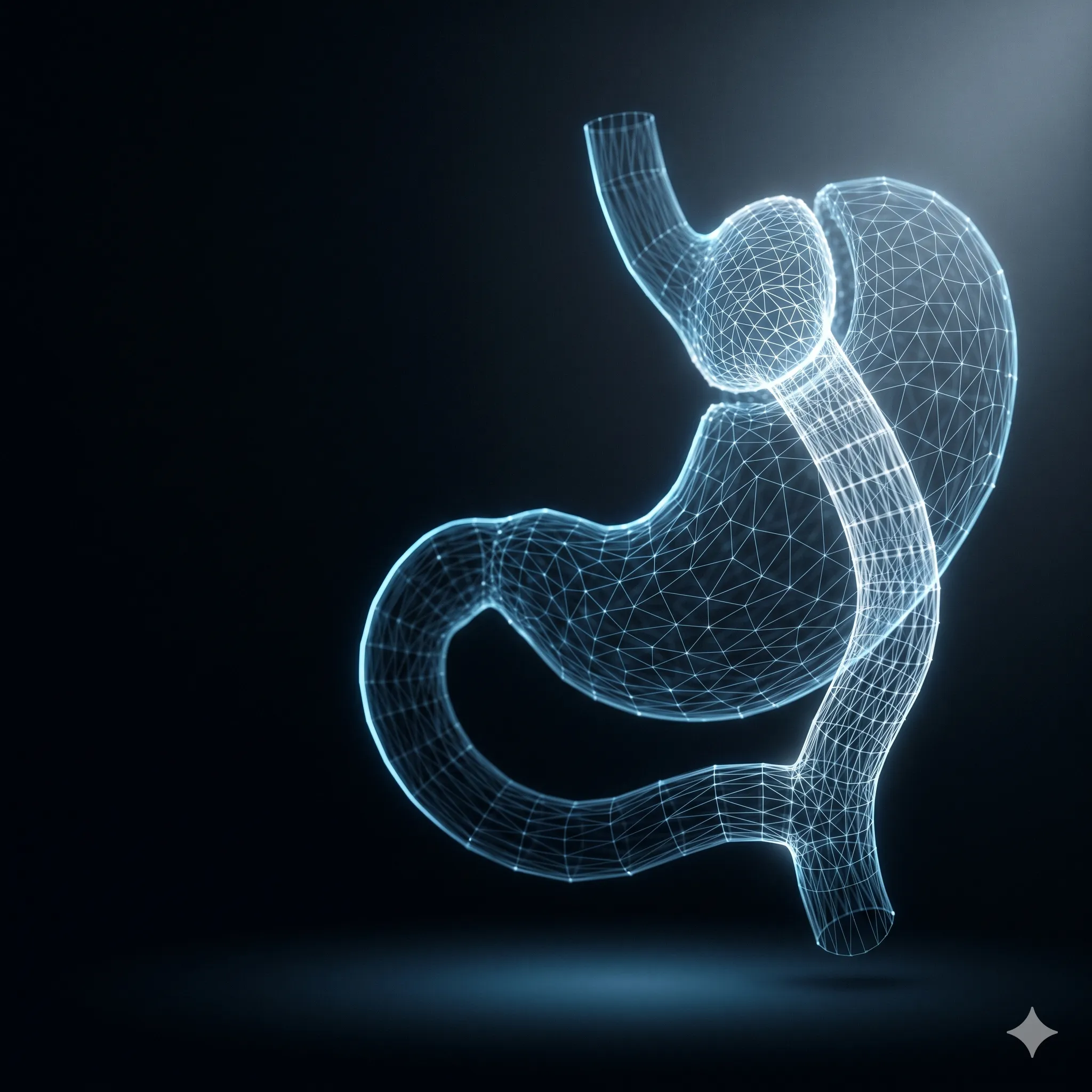 Türkiye'de Gastrik Bypass | Alpha Clinic İstanbul