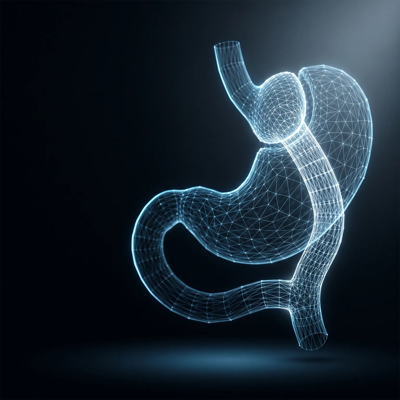 Türkiye'de Gastrik Bypass | Alpha Clinic İstanbul